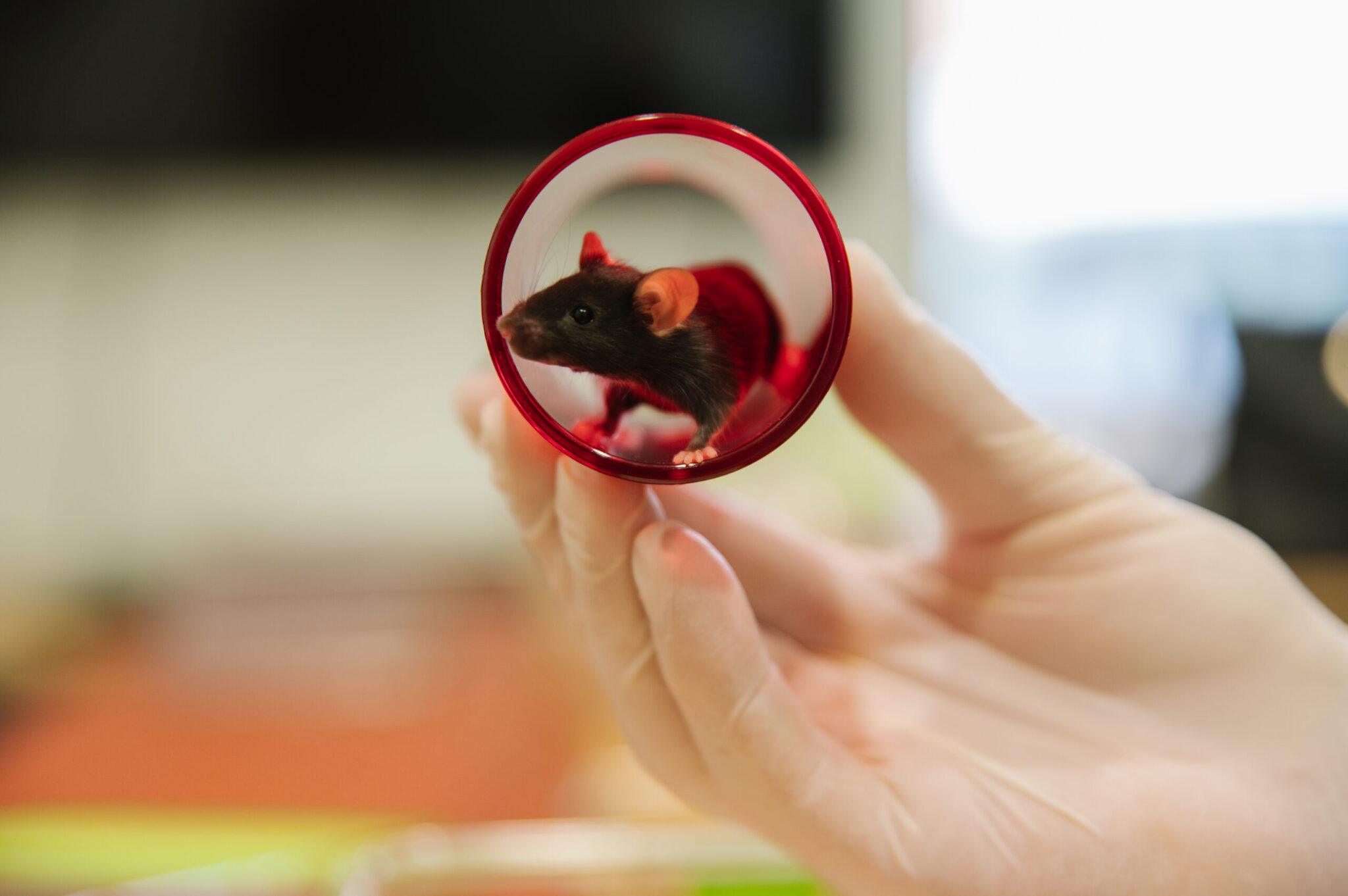 DSC_9227-Enhanced-NR